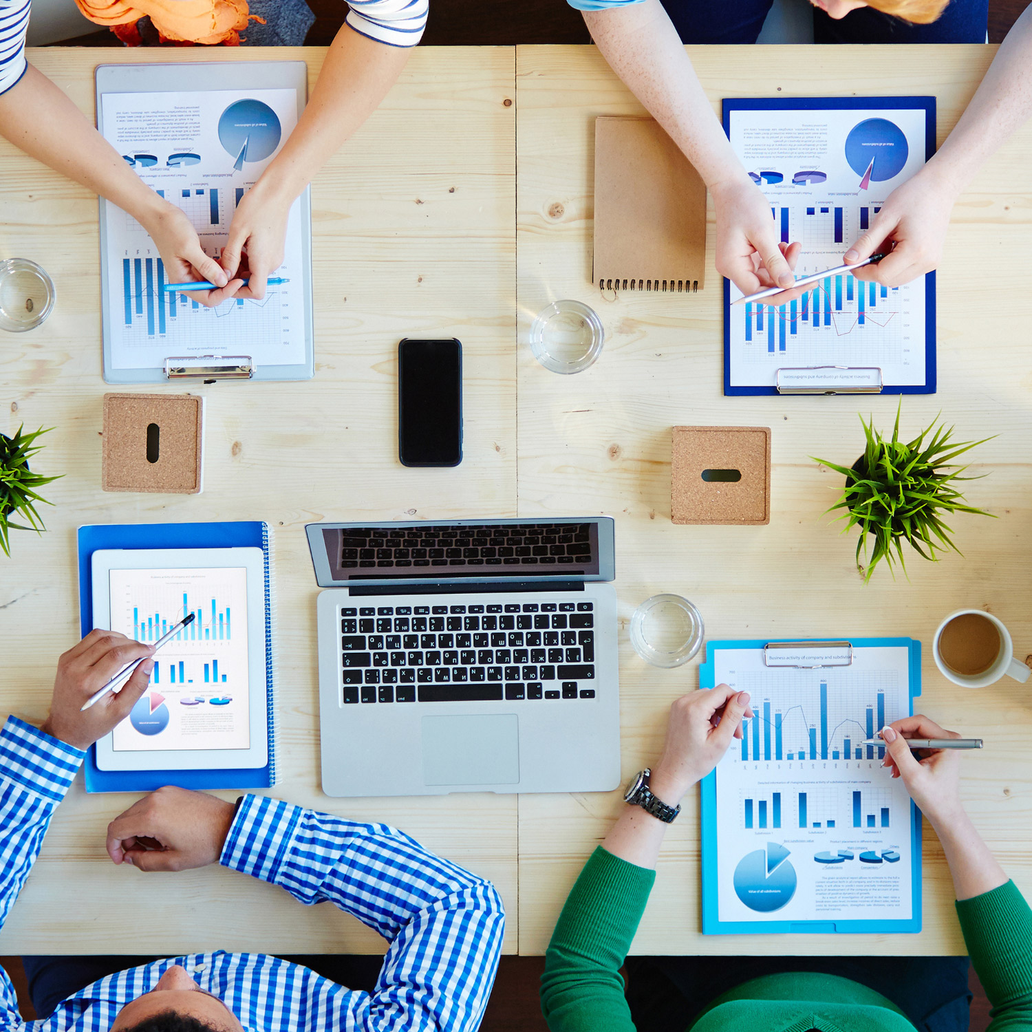 Bachelor of Business Studies