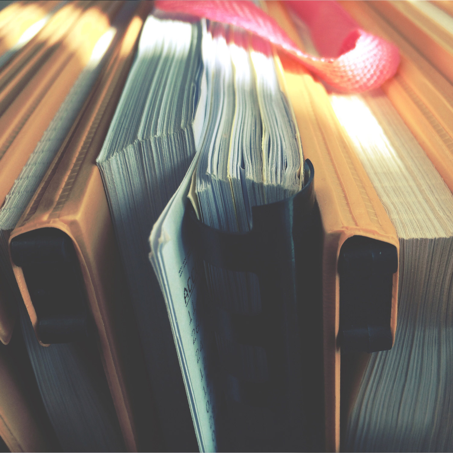 International Public Sector Accounting Standards